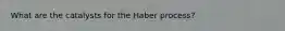 What are the catalysts for the Haber process?