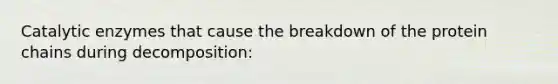 Catalytic enzymes that cause the breakdown of the protein chains during decomposition: