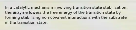 In a catalytic mechanism involving transition state stabilization, the enzyme lowers the free energy of the transition state by forming stabilizing non-covalent interactions with the substrate in the transition state.