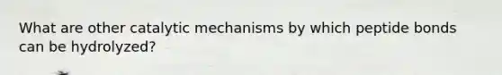 What are other catalytic mechanisms by which peptide bonds can be hydrolyzed?