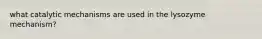 what catalytic mechanisms are used in the lysozyme mechanism?