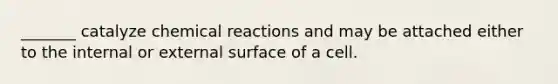 _______ catalyze chemical reactions and may be attached either to the internal or external surface of a cell.