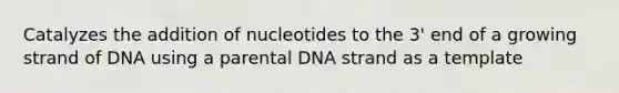 Catalyzes the addition of nucleotides to the 3' end of a growing strand of DNA using a parental DNA strand as a template