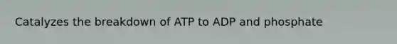 Catalyzes the breakdown of ATP to ADP and phosphate