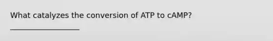 What catalyzes the conversion of ATP to cAMP? __________________