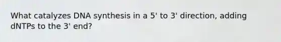 What catalyzes DNA synthesis in a 5' to 3' direction, adding dNTPs to the 3' end?