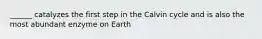 ______ catalyzes the first step in the Calvin cycle and is also the most abundant enzyme on Earth