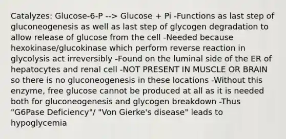 Catalyzes: Glucose-6-P --> Glucose + Pi -Functions as last step of gluconeogenesis as well as last step of glycogen degradation to allow release of glucose from the cell -Needed because hexokinase/glucokinase which perform reverse reaction in glycolysis act irreversibly -Found on the luminal side of the ER of hepatocytes and renal cell -NOT PRESENT IN MUSCLE OR BRAIN so there is no gluconeogenesis in these locations -Without this enzyme, free glucose cannot be produced at all as it is needed both for gluconeogenesis and glycogen breakdown -Thus "G6Pase Deficiency"/ "Von Gierke's disease" leads to hypoglycemia