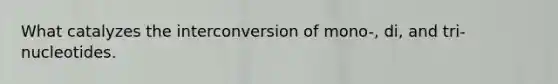 What catalyzes the interconversion of mono-, di, and tri-nucleotides.