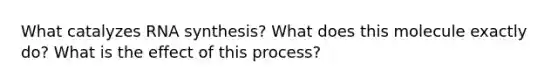 What catalyzes RNA synthesis? What does this molecule exactly do? What is the effect of this process?