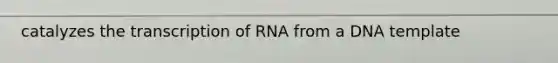 catalyzes the transcription of RNA from a DNA template