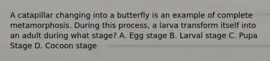 A catapillar changing into a butterfly is an example of complete metamorphosis. During this process, a larva transform itself into an adult during what stage? A. Egg stage B. Larval stage C. Pupa Stage D. Cocoon stage