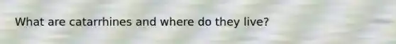 What are catarrhines and where do they live?
