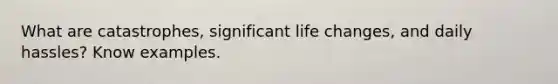 What are catastrophes, significant life changes, and daily hassles? Know examples.