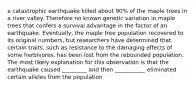 a catastrophic earthquake killed about 90% of the maple trees in a river valley. Therefore no known genetic variation in maple trees that confers a survival advantage in the factor of an earthquake. Eventually, the maple tree population recovered to its original numbers, but researchers have determined that certain traits, such as resistance to the damaging effects of some herbivores, has been lost from the rebounded population. The most likely explanation for this observation is that the earthquake caused _________ and then ___________ eliminated certain alleles from the population