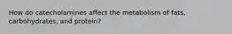 How do catecholamines affect the metabolism of fats, carbohydrates, and protein?
