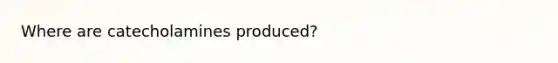 Where are catecholamines produced?