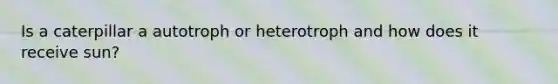 Is a caterpillar a autotroph or heterotroph and how does it receive sun?