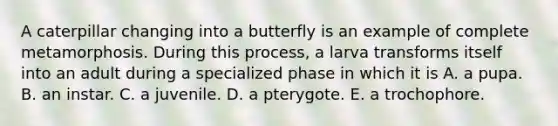 A caterpillar changing into a butterfly is an example of complete metamorphosis. During this process, a larva transforms itself into an adult during a specialized phase in which it is A. a pupa. B. an instar. C. a juvenile. D. a pterygote. E. a trochophore.