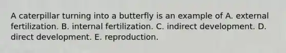 A caterpillar turning into a butterfly is an example of A. external fertilization. B. internal fertilization. C. indirect development. D. direct development. E. reproduction.