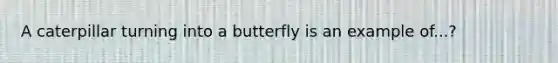 A caterpillar turning into a butterfly is an example of...?