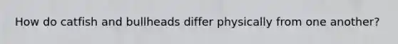 How do catfish and bullheads differ physically from one another?