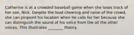 Catherine is at a crowded baseball game when she loses track of her son, Nick. Despite the loud cheering and noise of the crowd, she can pinpoint his location when he calls for her because she can distinguish the sound of his voice from the all the other voices. This illustrates ________ theory.