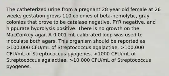 The catheterized urine from a pregnant 28-year-old female at 26 weeks gestation grows 110 colonies of beta-hemolytic, gray colonies that prove to be catalase negative, PYR negative, and hippurate hydrolysis positive. There is no growth on the MacConkey agar. A 0.001 mL calibrated loop was used to inoculate both agars. This organism should be reported as >100,000 CFU/mL of Streptococcus agalactiae. >100,000 CFU/mL of Streptococcus pyogenes. >1000 CFU/mL of Streptococcus agalactiae. >10,000 CFU/mL of Streptococcus pyogenes.