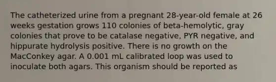 The catheterized urine from a pregnant 28-year-old female at 26 weeks gestation grows 110 colonies of beta-hemolytic, gray colonies that prove to be catalase negative, PYR negative, and hippurate hydrolysis positive. There is no growth on the MacConkey agar. A 0.001 mL calibrated loop was used to inoculate both agars. This organism should be reported as