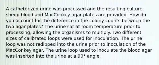 A catheterized urine was processed and the resulting culture sheep blood and MacConkey agar plates are provided. How do you account for the difference in the colony counts between the two agar plates? The urine sat at room temperature prior to processing, allowing the organisms to multiply. Two different sizes of calibrated loops were used for inoculation. The urine loop was not redipped into the urine prior to inoculation of the MacConkey agar. The urine loop used to inoculate the blood agar was inserted into the urine at a 90° angle.