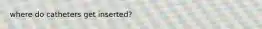 where do catheters get inserted?