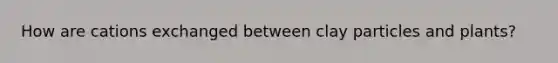 How are cations exchanged between clay particles and plants?