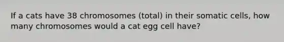 If a cats have 38 chromosomes (total) in their somatic cells, how many chromosomes would a cat egg cell have?