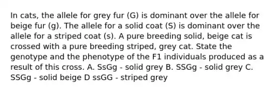 In cats, the allele for grey fur (G) is dominant over the allele for beige fur (g). The allele for a solid coat (S) is dominant over the allele for a striped coat (s). A pure breeding solid, beige cat is crossed with a pure breeding striped, grey cat. State the genotype and the phenotype of the F1 individuals produced as a result of this cross. A. SsGg - solid grey B. SSGg - solid grey C. SSGg - solid beige D ssGG - striped grey