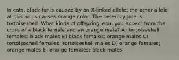 In cats, black fur is caused by an X-linked allele; the other allele at this locus causes orange color. The heterozygote is tortoiseshell. What kinds of offspring woul you expect from the cross of a black female and an orange male? A) tortoiseshell females; black males B) black females; orange males C) tortoiseshell females; tortoiseshell males D) orange females; orange males E) orange females; black males