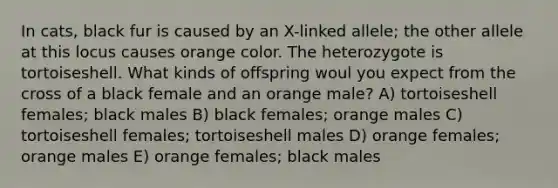 In cats, black fur is caused by an X-linked allele; the other allele at this locus causes orange color. The heterozygote is tortoiseshell. What kinds of offspring woul you expect from the cross of a black female and an orange male? A) tortoiseshell females; black males B) black females; orange males C) tortoiseshell females; tortoiseshell males D) orange females; orange males E) orange females; black males