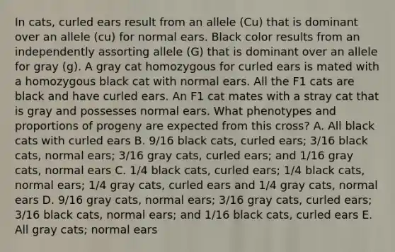 In cats, curled ears result from an allele (Cu) that is dominant over an allele (cu) for normal ears. Black color results from an independently assorting allele (G) that is dominant over an allele for gray (g). A gray cat homozygous for curled ears is mated with a homozygous black cat with normal ears. All the F1 cats are black and have curled ears. An F1 cat mates with a stray cat that is gray and possesses normal ears. What phenotypes and proportions of progeny are expected from this cross? A. All black cats with curled ears B. 9/16 black cats, curled ears; 3/16 black cats, normal ears; 3/16 gray cats, curled ears; and 1/16 gray cats, normal ears C. 1/4 black cats, curled ears; 1/4 black cats, normal ears; 1/4 gray cats, curled ears and 1/4 gray cats, normal ears D. 9/16 gray cats, normal ears; 3/16 gray cats, curled ears; 3/16 black cats, normal ears; and 1/16 black cats, curled ears E. All gray cats; normal ears