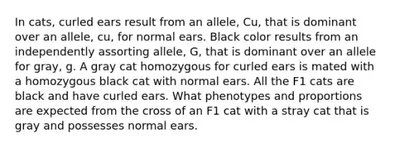 In cats, curled ears result from an allele, Cu, that is dominant over an allele, cu, for normal ears. Black color results from an independently assorting allele, G, that is dominant over an allele for gray, g. A gray cat homozygous for curled ears is mated with a homozygous black cat with normal ears. All the F1 cats are black and have curled ears. What phenotypes and proportions are expected from the cross of an F1 cat with a stray cat that is gray and possesses normal ears.