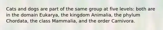 Cats and dogs are part of the same group at five levels: both are in the domain Eukarya, the kingdom Animalia, the phylum Chordata, the class Mammalia, and the order Carnivora.