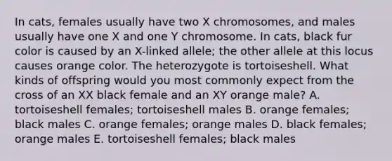 In cats, females usually have two X chromosomes, and males usually have one X and one Y chromosome. In cats, black fur color is caused by an X-linked allele; the other allele at this locus causes orange color. The heterozygote is tortoiseshell. What kinds of offspring would you most commonly expect from the cross of an XX black female and an XY orange male? A. tortoiseshell females; tortoiseshell males B. orange females; black males C. orange females; orange males D. black females; orange males E. tortoiseshell females; black males