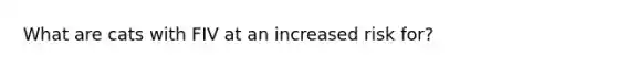 What are cats with FIV at an increased risk for?