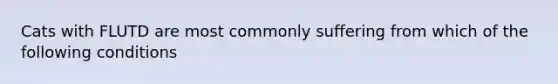 Cats with FLUTD are most commonly suffering from which of the following conditions