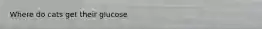 Where do cats get their glucose