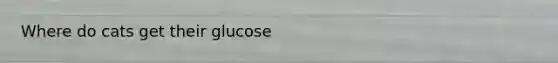 Where do cats get their glucose
