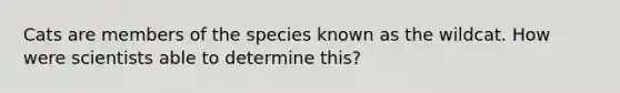 Cats are members of the species known as the wildcat. How were scientists able to determine this?