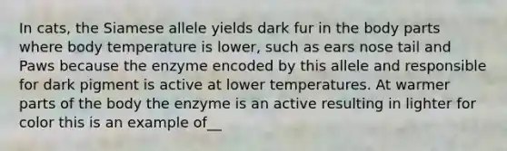 In cats, the Siamese allele yields dark fur in the body parts where body temperature is lower, such as ears nose tail and Paws because the enzyme encoded by this allele and responsible for dark pigment is active at lower temperatures. At warmer parts of the body the enzyme is an active resulting in lighter for color this is an example of__