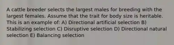 A cattle breeder selects the largest males for breeding with the largest females. Assume that the trait for body size is heritable. This is an example of: A) Directional artificial selection B) Stabilizing selection C) Disruptive selection D) Directional natural selection E) Balancing selection