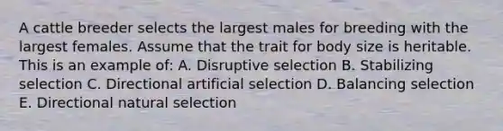 A cattle breeder selects the largest males for breeding with the largest females. Assume that the trait for body size is heritable. This is an example of: A. Disruptive selection B. Stabilizing selection C. Directional artificial selection D. Balancing selection E. Directional natural selection