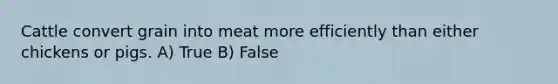 Cattle convert grain into meat more efficiently than either chickens or pigs. A) True B) False