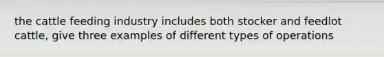 the cattle feeding industry includes both stocker and feedlot cattle, give three examples of different types of operations
